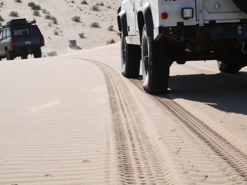 Outdoor Sports Store Expedition Exchange Incorporated